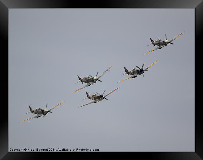 Spitfire Formation Framed Print by Nigel Bangert