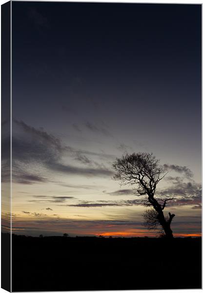 Night Falls Canvas Print by Simon Wrigglesworth