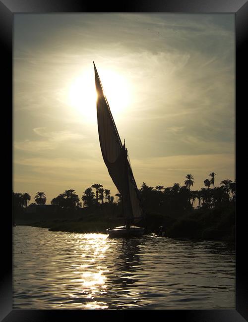 Egyptian Riverboat Dream Framed Print by Jean Riddler