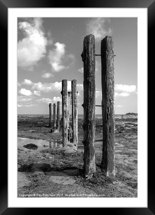 Old Wooden Posts Framed Mounted Print by Ray Pritchard