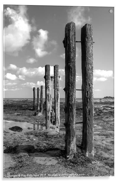 Old Wooden Posts Acrylic by Ray Pritchard