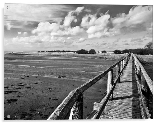 Aberlady Bay BW Acrylic by Buster Brown