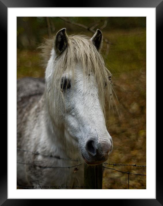 white pony Framed Mounted Print by Jo Beerens