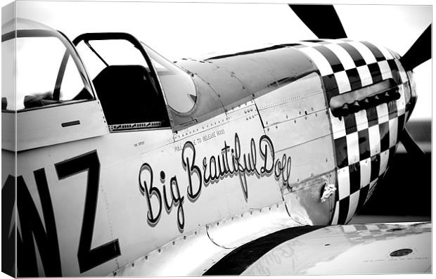 Mustang P51-D - Big Beautiful Doll Canvas Print by Alastair Gentles