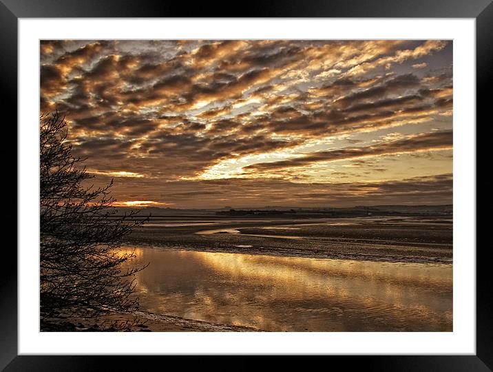 Low Tide on the Tarka Trail Framed Mounted Print by Dave Wilkinson North Devon Ph