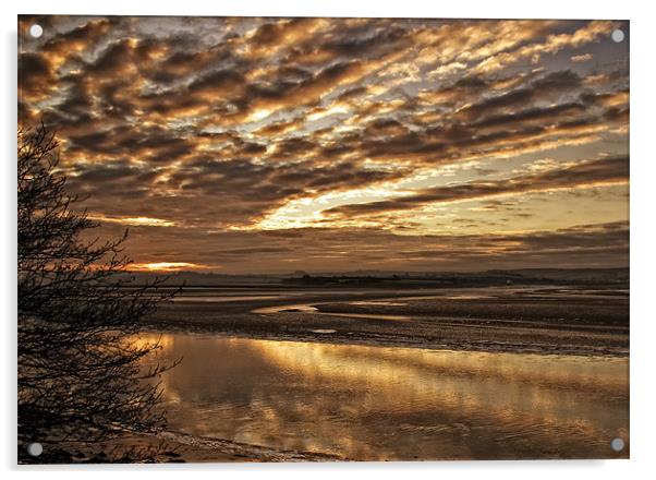 Low Tide on the Tarka Trail Acrylic by Dave Wilkinson North Devon Ph