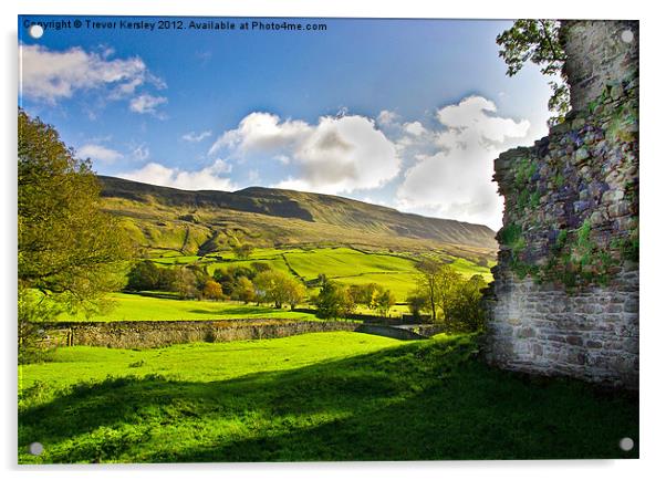 Cumbrian View Acrylic by Trevor Kersley RIP