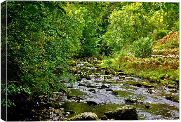 River Twiss - Yorks Dales Canvas Print by Trevor Kersley RIP