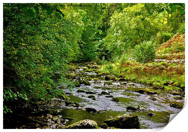 River Twiss - Yorks Dales Print by Trevor Kersley RIP