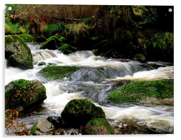 Glenenassig River Acrylic by barbara walsh