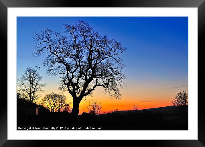 Tree At Sunrise Framed Mounted Print by Jason Connolly