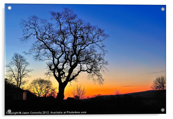 Tree At Sunrise Acrylic by Jason Connolly