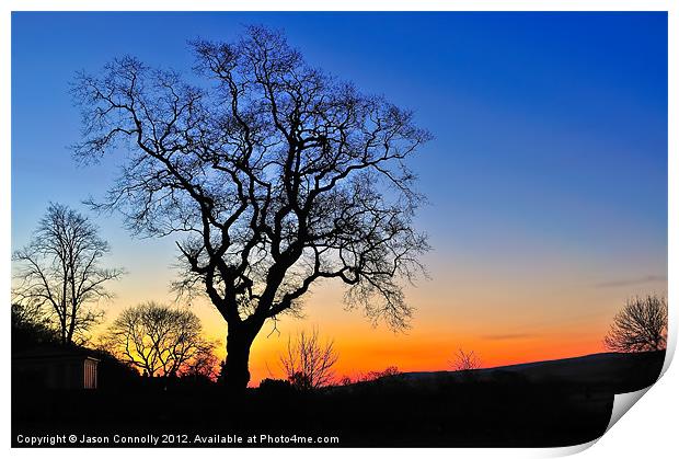 Tree At Sunrise Print by Jason Connolly