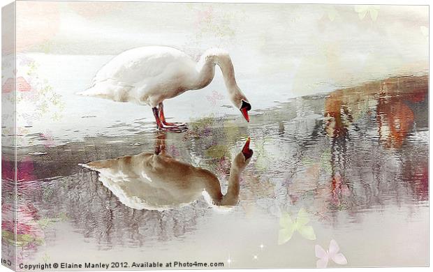 Swan Reflection Canvas Print by Elaine Manley