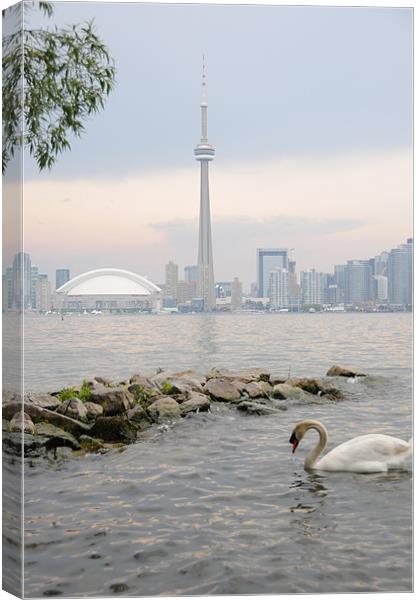 Toronto City Skyline Canvas Print by DROO Photographer