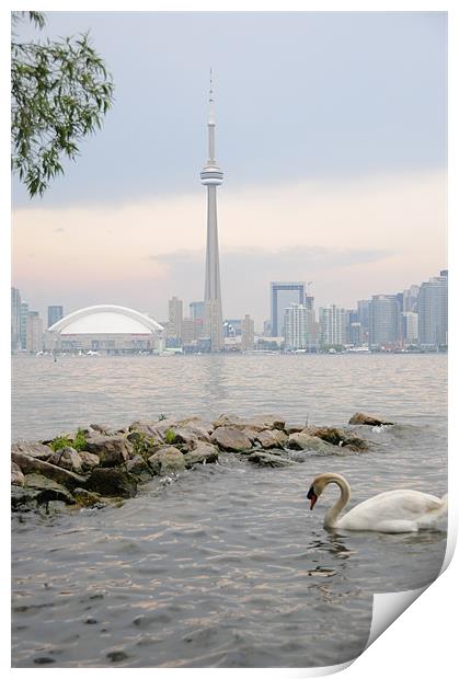 Toronto City Skyline Print by DROO Photographer