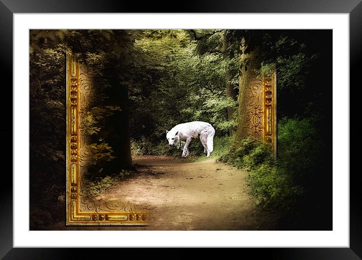 A Dare To Enter Framed Mounted Print by Elaine Manley