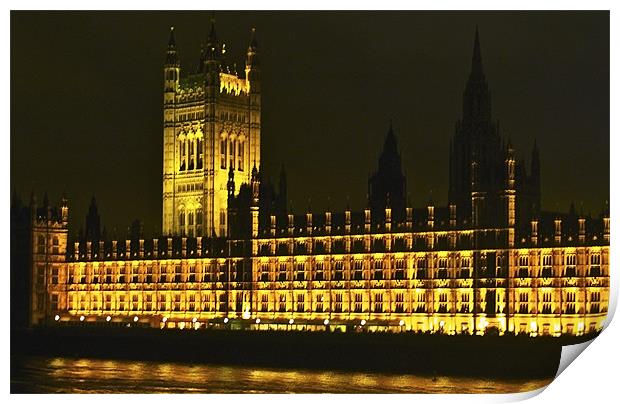 HOUSE OF PARLIAMENT Print by radoslav rundic