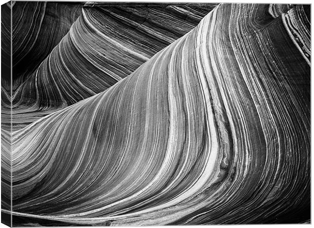 The Wave - Black & White 5 Canvas Print by Sharpimage NET