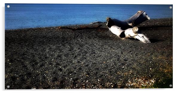 Log on beach Acrylic by helene duerden