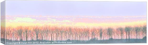 Golden Pink Canvas Print by Daryl Hill