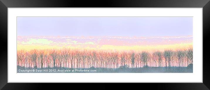 Golden Pink Framed Mounted Print by Daryl Hill