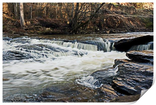 River Mill Print by Michael Waters Photography