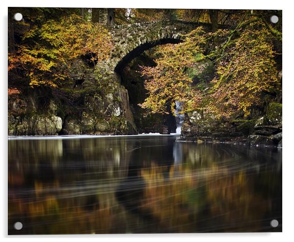 The Hermitage , Dunkeld, Perthshire, scotland Acrylic by David Mould