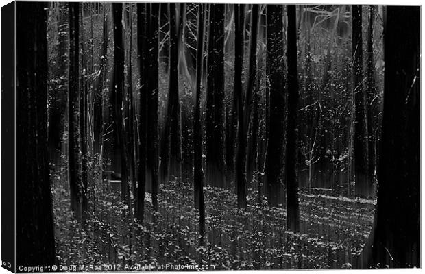 Mystery woods Canvas Print by Doug McRae