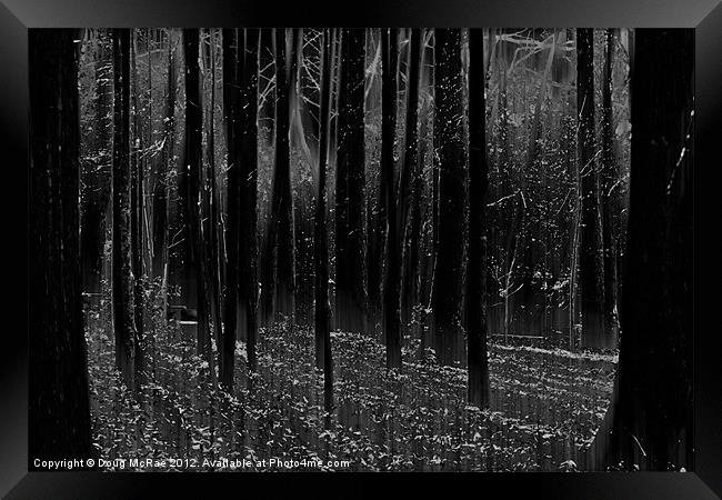 Mystery woods Framed Print by Doug McRae