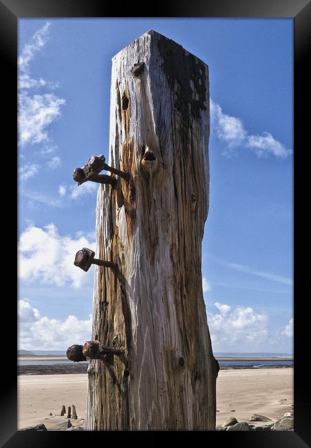 Still Standing Framed Print by Dave Wilkinson North Devon Ph