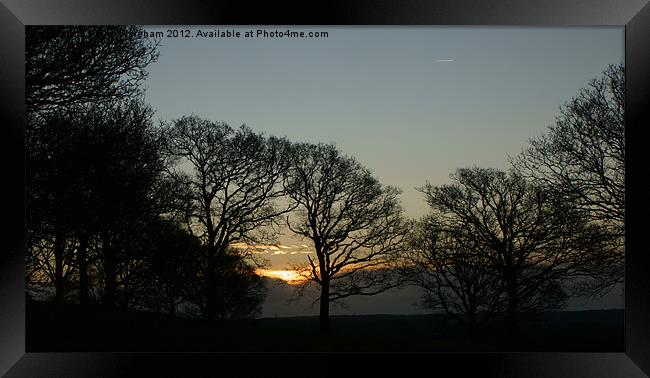 Sunrise Silhouettes Framed Print by Phil Wareham