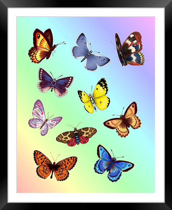 Bright Butterflies Framed Mounted Print by Lidiya Drabchuk
