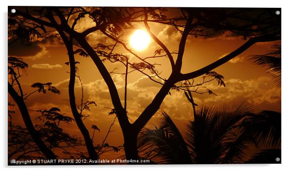 Mauritian Sunset Acrylic by STUART PRYKE