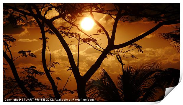 Mauritian Sunset Print by STUART PRYKE
