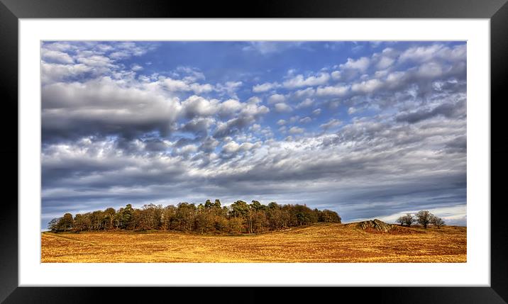 Trees looking over Bradgate Park Framed Mounted Print by Mike Gorton