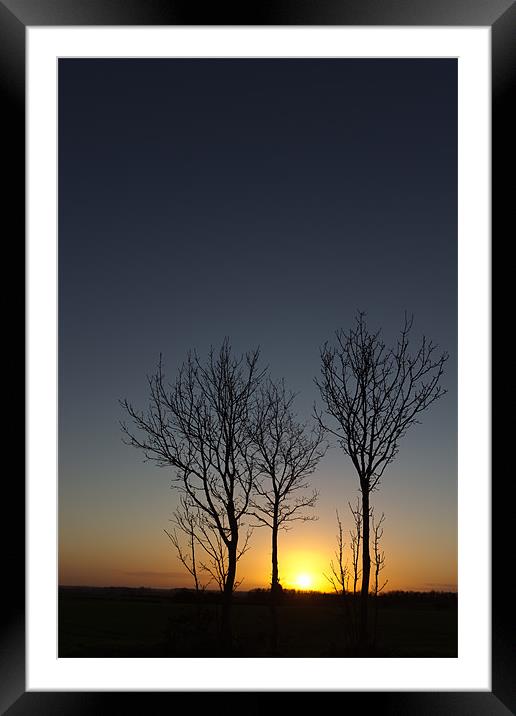 Trees at Sunset Framed Mounted Print by Simon Wrigglesworth