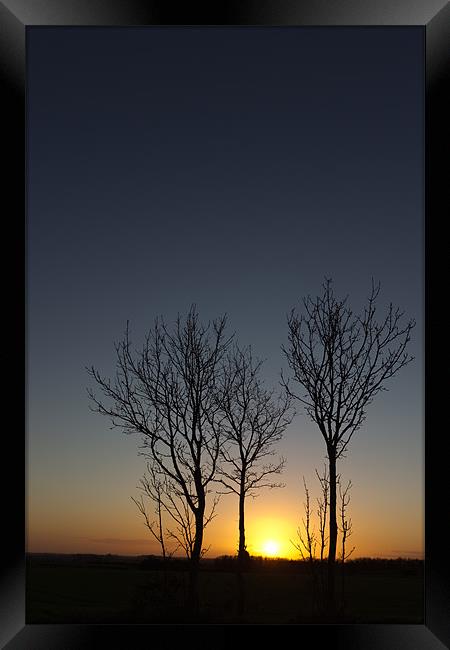 Trees at Sunset Framed Print by Simon Wrigglesworth