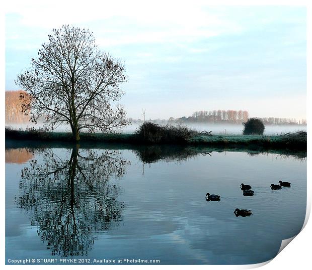 Norfolk Morning Mist Print by STUART PRYKE