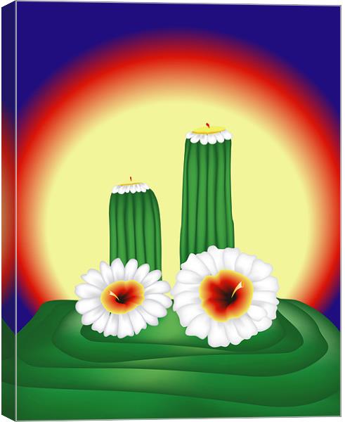 Blooming Cactuses in Sunset Canvas Print by Lidiya Drabchuk