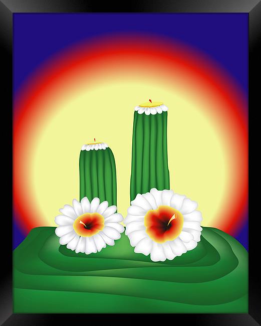 Blooming Cactuses in Sunset Framed Print by Lidiya Drabchuk