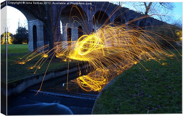 Sparks in the park Canvas Print by Iona Semay