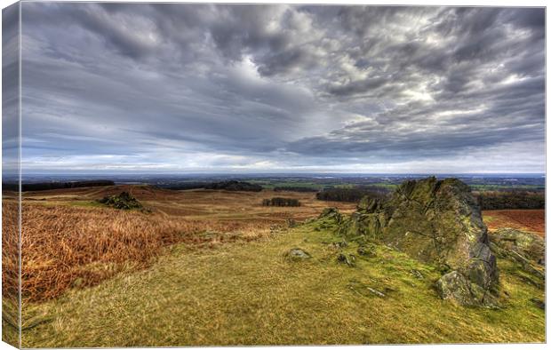 Looking over Bradgate Park Canvas Print by Mike Gorton