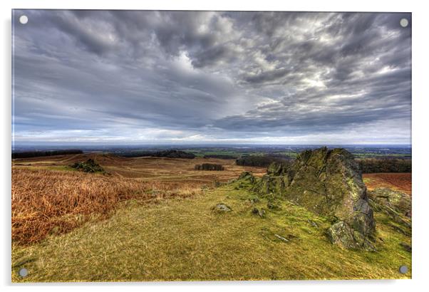 Looking over Bradgate Park Acrylic by Mike Gorton