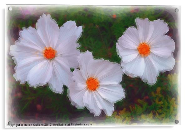 WHITE DAISIES Acrylic by Helen Cullens