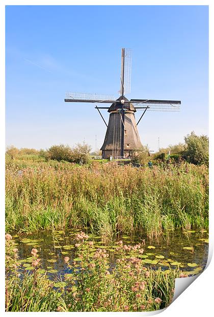 Dutch Windmill Print by Ankor Light