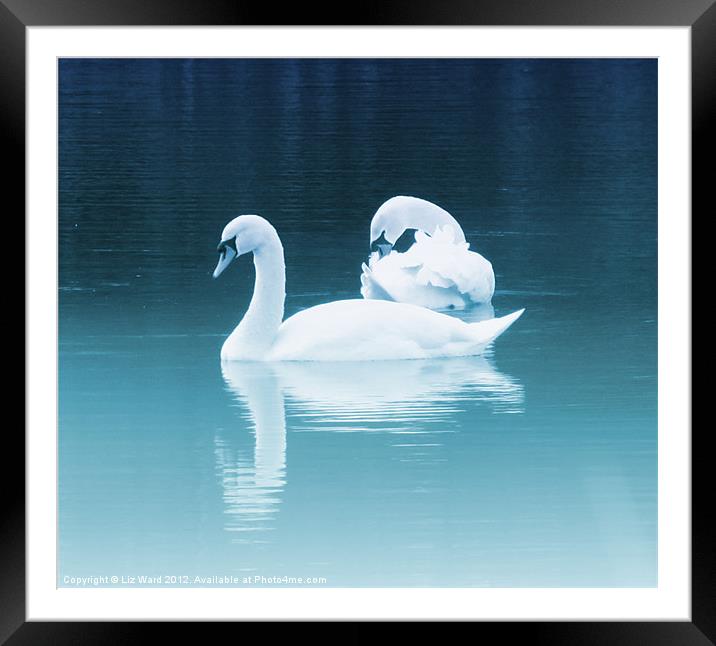 Swan Lake Framed Mounted Print by Liz Ward