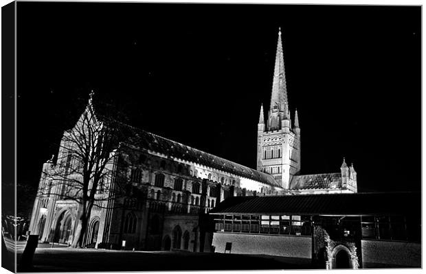 Stars over Norwich Cathedral Canvas Print by Paul Macro