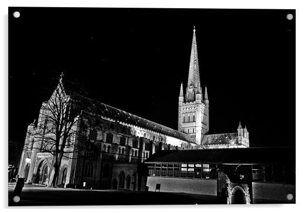 Stars over Norwich Cathedral Acrylic by Paul Macro