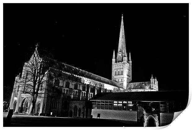 Stars over Norwich Cathedral Print by Paul Macro